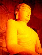 ���� ������