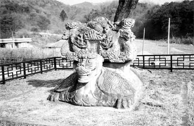 ������������ž����������������