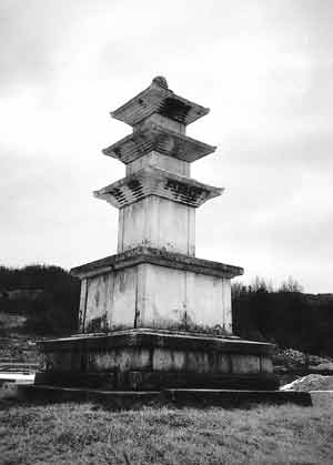 �ŵ����� ������ž