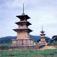 �������� ������ž(������� ߲�����)