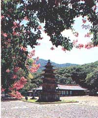 ������ ������ ������ž(ؿ��ߣ ������ �������)