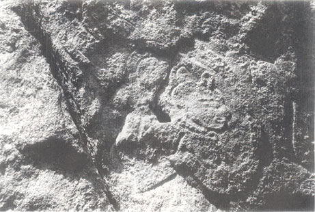 ���ֳ��� ��ó���� ��õ��