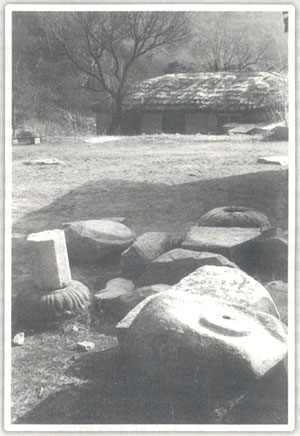 ���� ���� õ��� ��