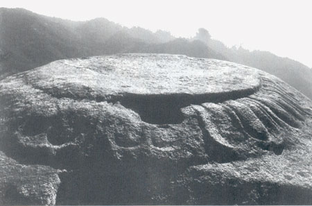 ��ȭ����