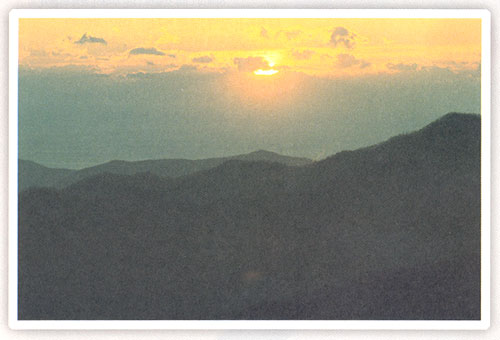 ���ּ���������