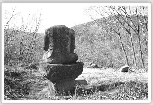 ���� ���� �ɼ��� �����»�