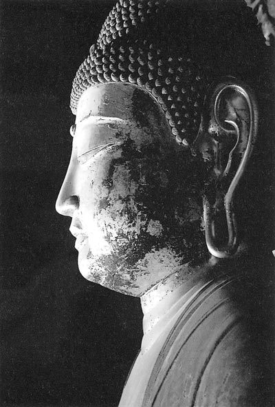 ����(����) �̵���(������) ���� �ƹ�Ÿ�����»�