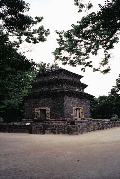 ��Ȳ�� ������ž������ ټ�����