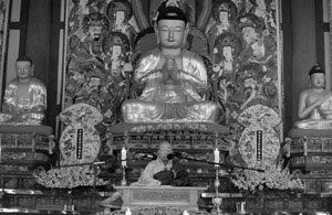 ���彺�� / ���� ����