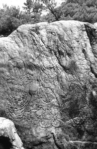 �︪��� ����������. ���ϵ� ������ȭ�� ��21ȣ