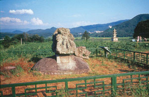 �������ž��