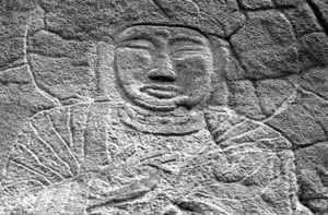 ���� ���� �︪�� ���� ���� �»�