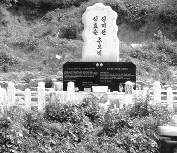 ��ȿ�� �ɹ̼� �߸��