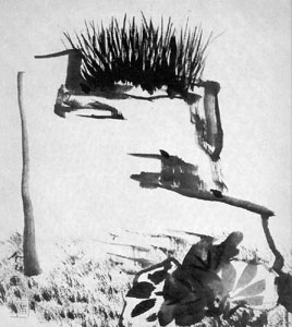 �����귱(����ߣ��) ��â����������� / û������