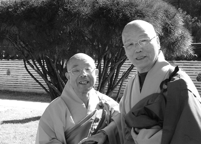 ����/������