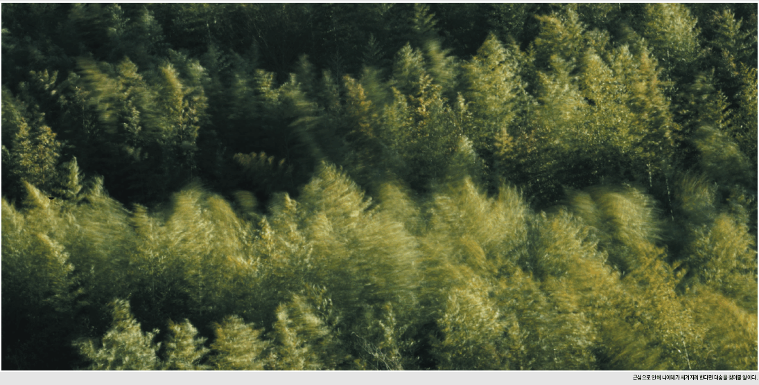 �ٽ����� ���� �����װ� �������� �Ѵٸ� �뽣�� ã�ƺ� ���̴�.