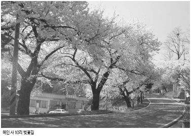 ���λ� 10�� ���ɱ�