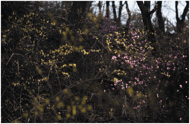 �������� ��