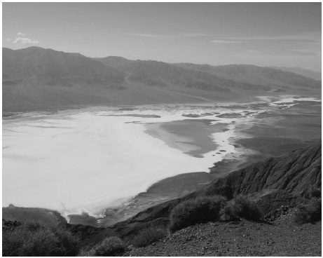 �����븮�� ���