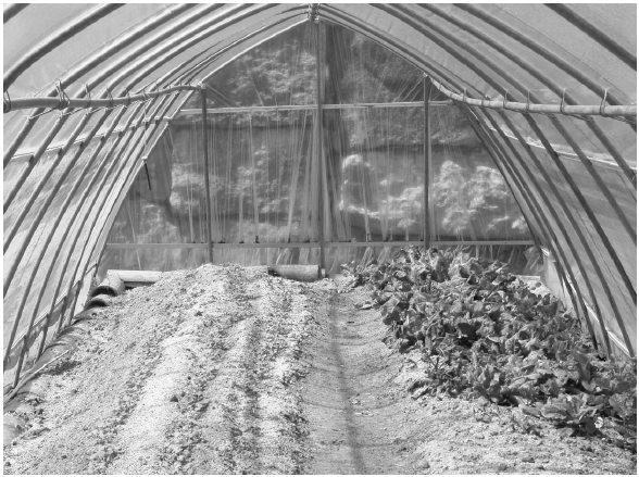 �𼳴� ������ �Թ�