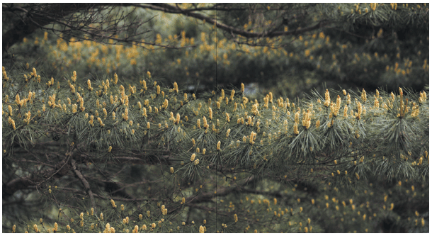 ��ȱ���簡 ������ ���� �Ȱ��� �̷�����, ��κ� ���� ���� �������� ���Ѵ�.