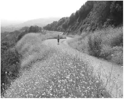 �׸��ǽ� �� ���� ����