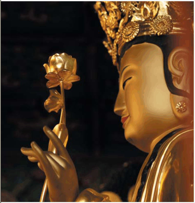 ���� �õ��� ��������