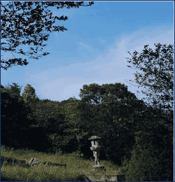 õ�� ���� ����� ����ģ ������ Ȳ�Ż�� �����ϰ� �ִ�.