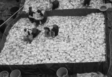 �ұݿ� ���� ���߸� �ľ�� �ִ�