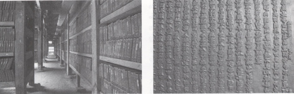 2007�� �������������� ������ ���λ� �ȸ������