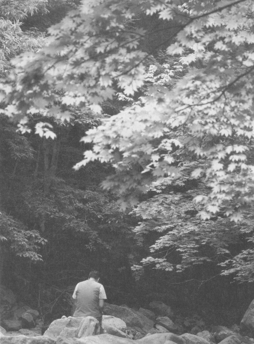 ������ ���� ������ �����Ϸ�! ��ΰ� �ڿ��� ����..