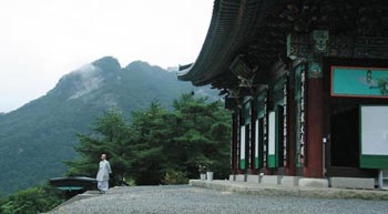 ��õ ���ֻ� / ���Ҹ������� ������ ����� ��ħ�� �Ǵ�