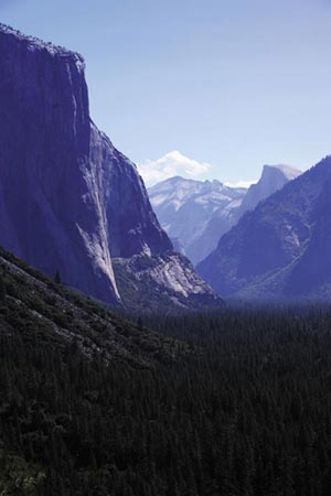 ���� ���������� ������ �Ҹ��� �� �Ϳ��δ�. �� ���� ��� ����� �ϳ� ���� �Ǿ���.   / �似��Ƽ ���