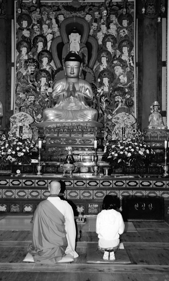 ������ ���� ��