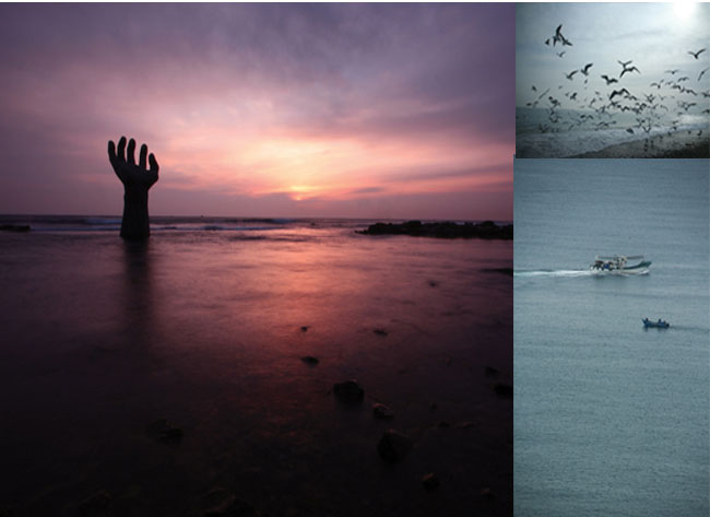 ���� ȣ�̰�