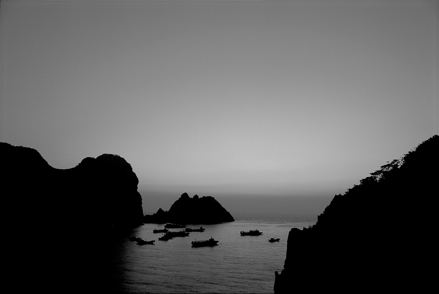 ȫ������