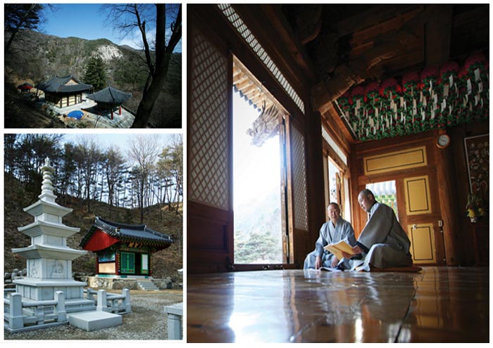 �Ծ� ���߻�