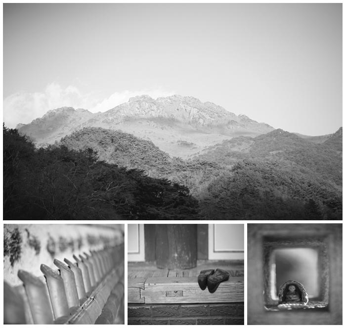 ���󿡼� ���� ũ�� ������ ����