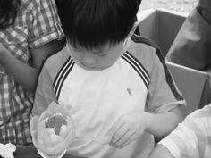 ���� �����