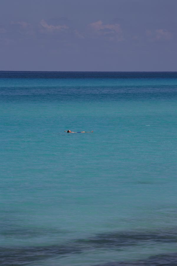 � �ĵ��� ������ �Ȱ��ִ°�? ������ �Ӿ� ������ ���� �ñ��.