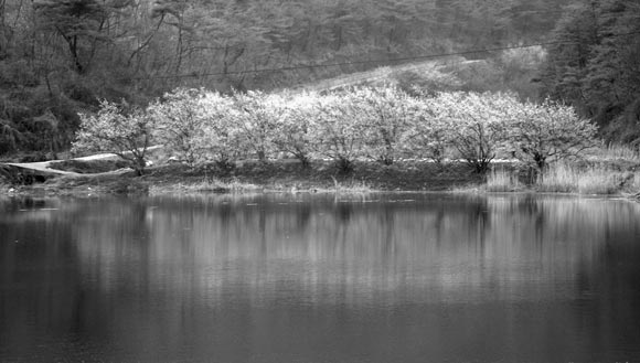 ��� �����ϸ�