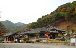 ȫ���� ���� (����1320ȣ)