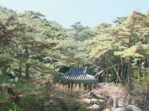 ���λ� �ҳ���