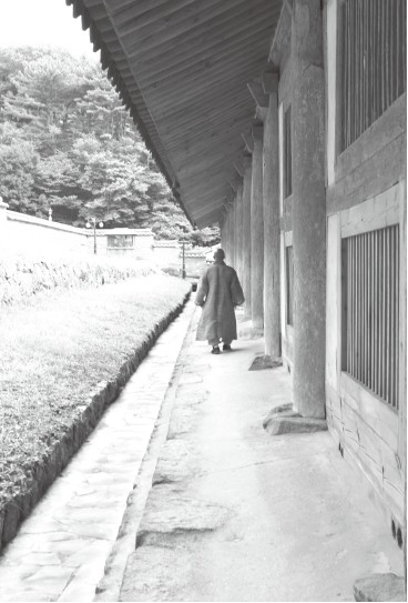 ���λ� ����������