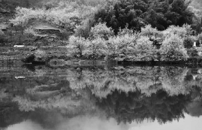 ����� ����