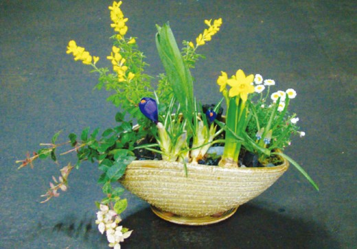 ��ǰ�� : ���� ������ / �μ��� ��