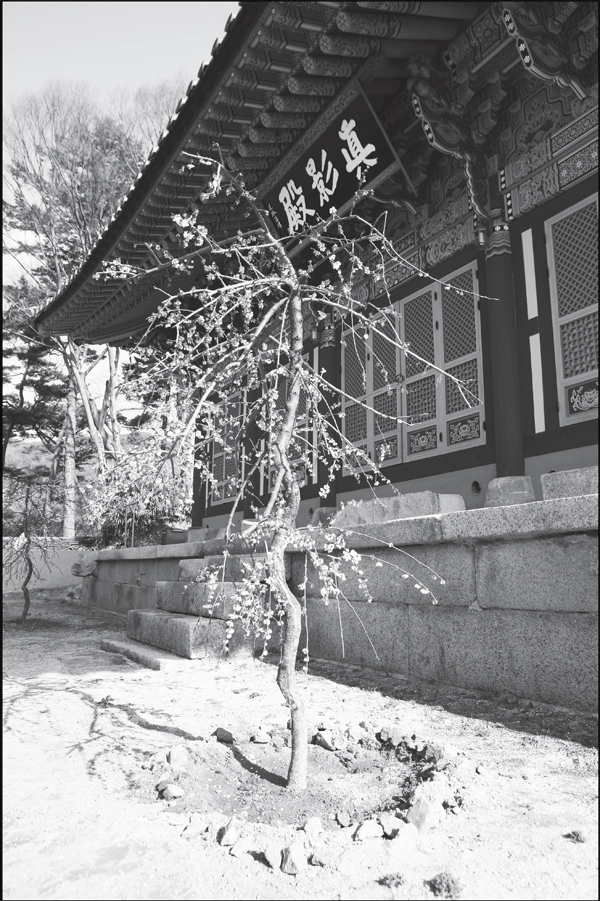 ȭ�弼�� �߿���