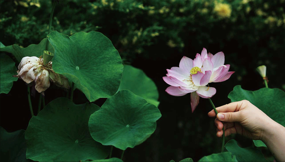 ���� ������ �����Դϱ�? ���� ��Ű�� ������ ��������!