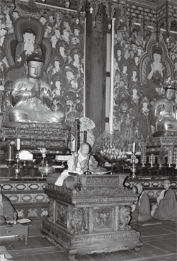 2010 ���Ȱ� �����Ͽ�