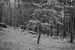 �ﵿ߲�Ͽ� ���̷δ�!